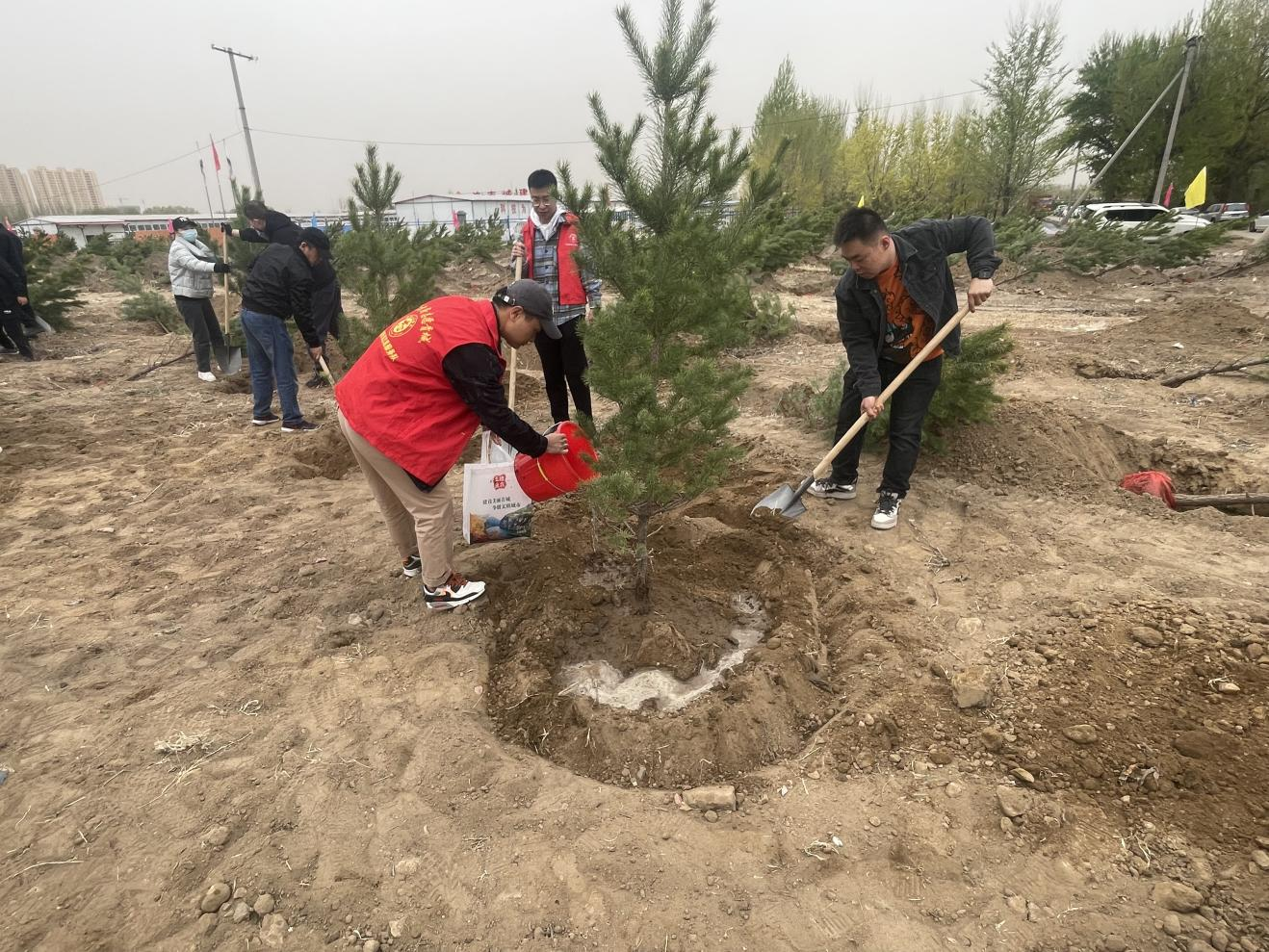 玉泉区开展“履行植树义务 共建美丽中国”义务植树活动