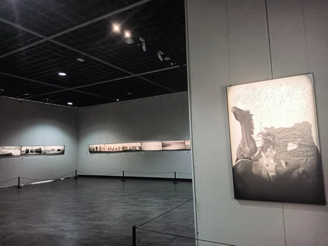 北疆光影——王争平师生摄影作品展｜中国摄影家走进包头系列文化活动 第3张