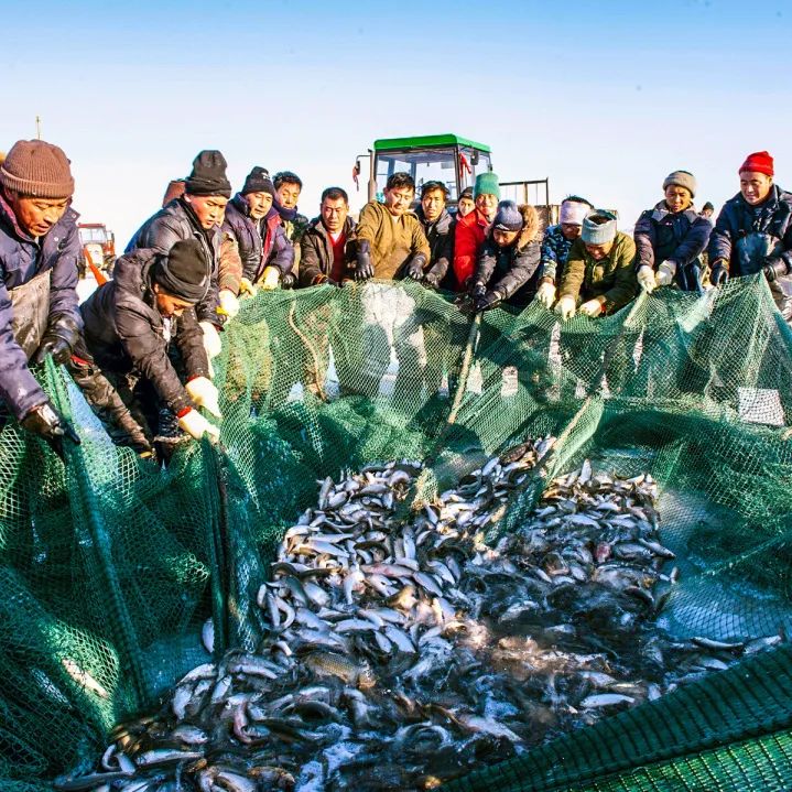 美丽神奇的达里湖