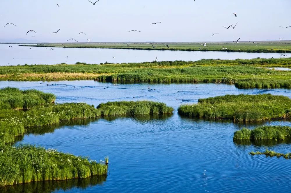 忙碌人群眼中"奢侈"的风景——达里湖