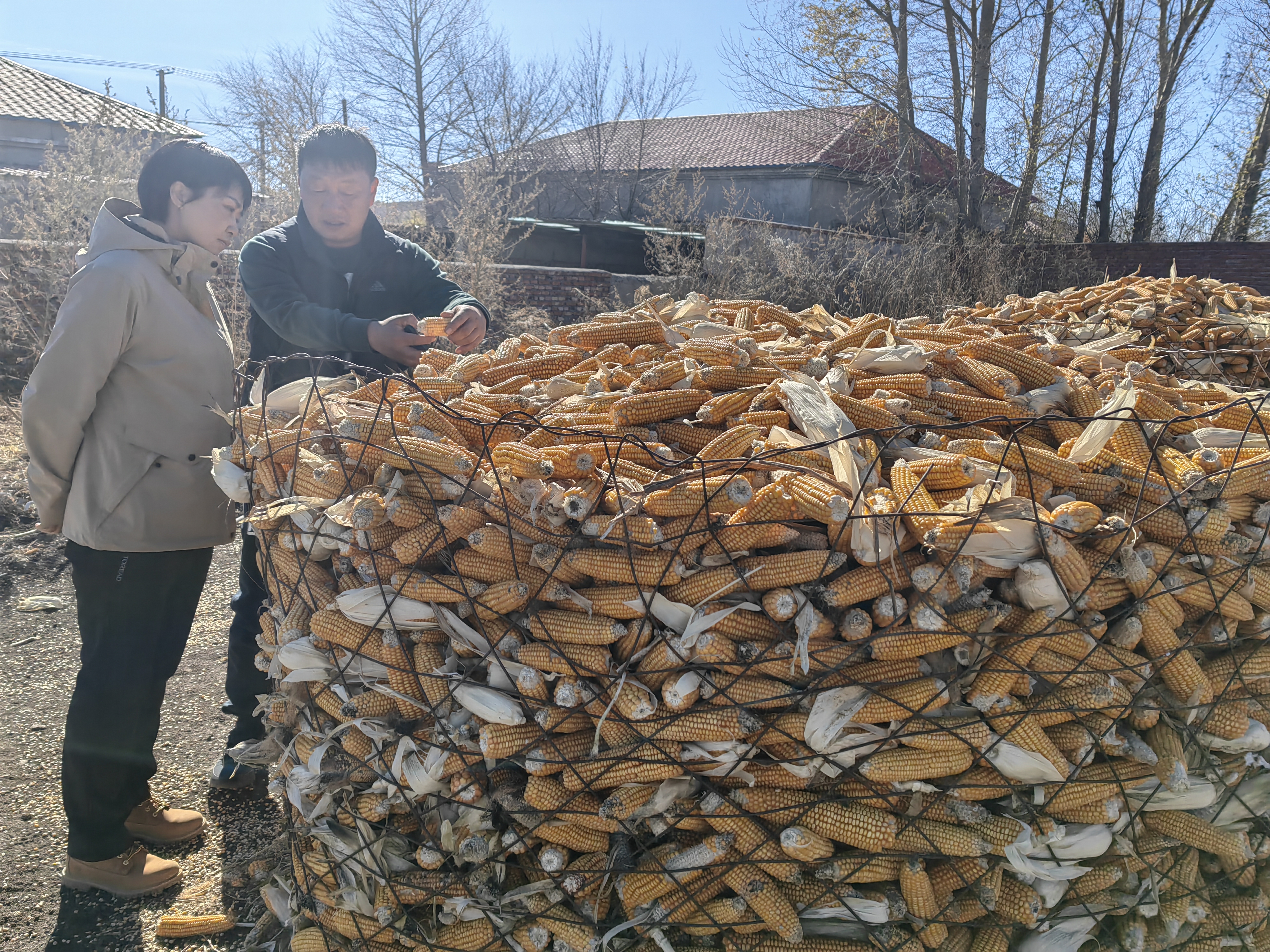 阿力得尔苏木多措并举推进科学储粮助力群众秋收减损保量