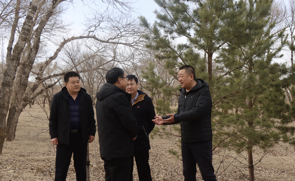 马立华一行先后到小四家收费站,丰收乡门斗营子村