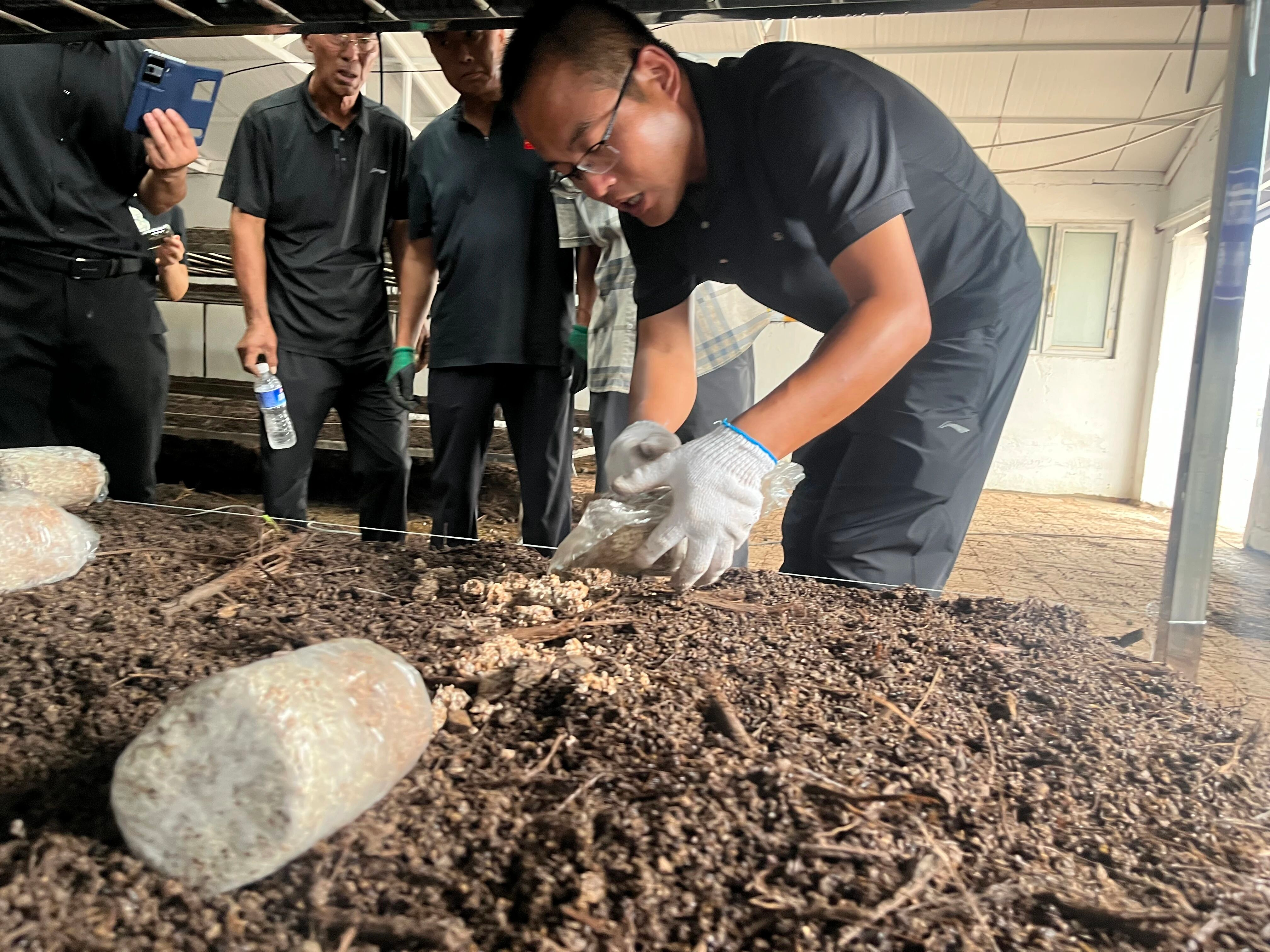 水泉镇:创新立体栽培新模式 小菌菇解锁乡村振兴新动能